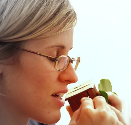 Beethoven Örömóda zenedoboz mahagóni